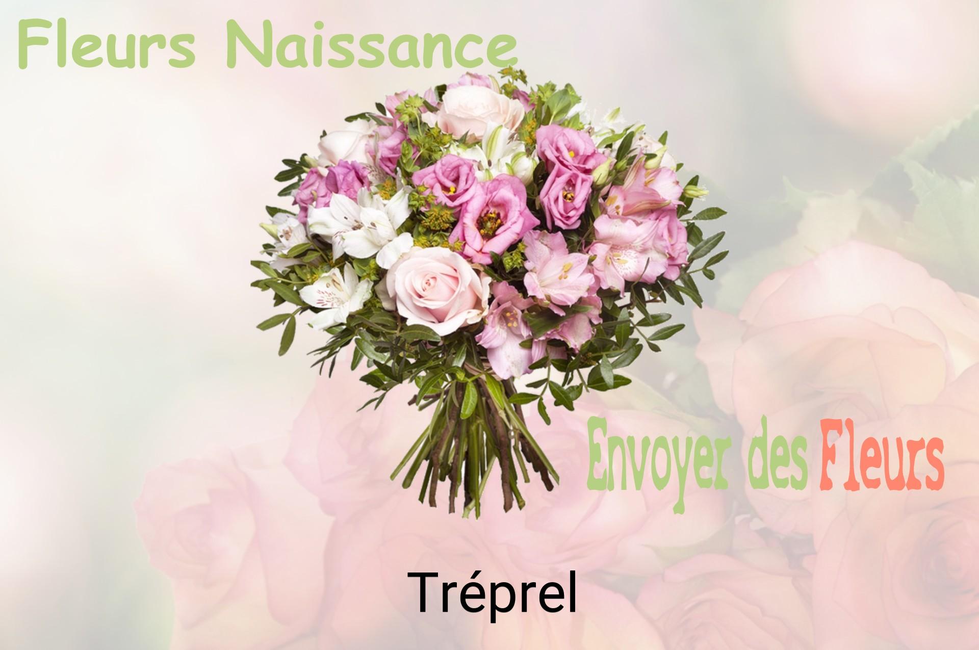Bouquet de fleurs de naissance livré à Tréprel
