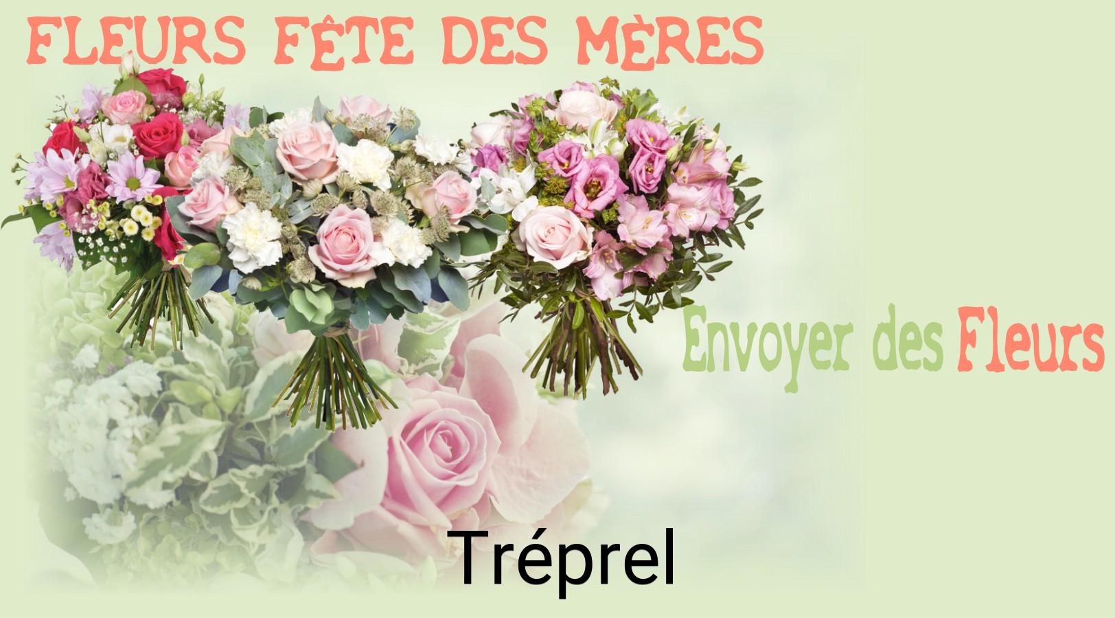 Bouquet de Fête des Mères livré à Tréprel